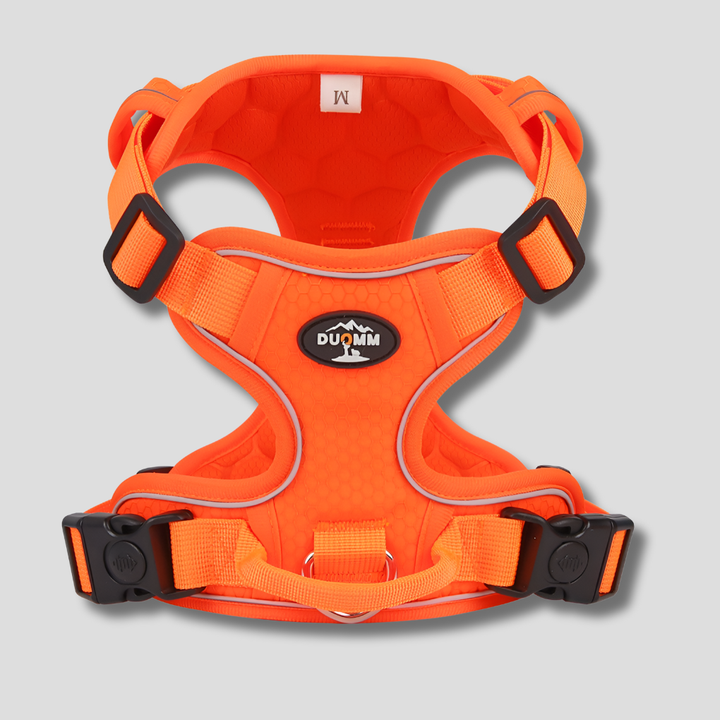 Reflective Adjustable Outdoor Dog Harness