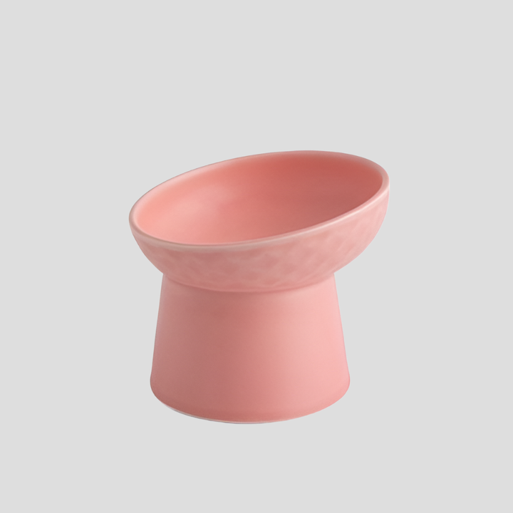 Nordic Style Tilted Ceramic Cat Bowl