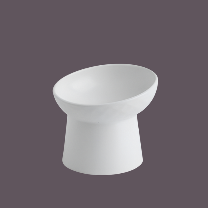 Nordic Style Tilted Ceramic Cat Bowl