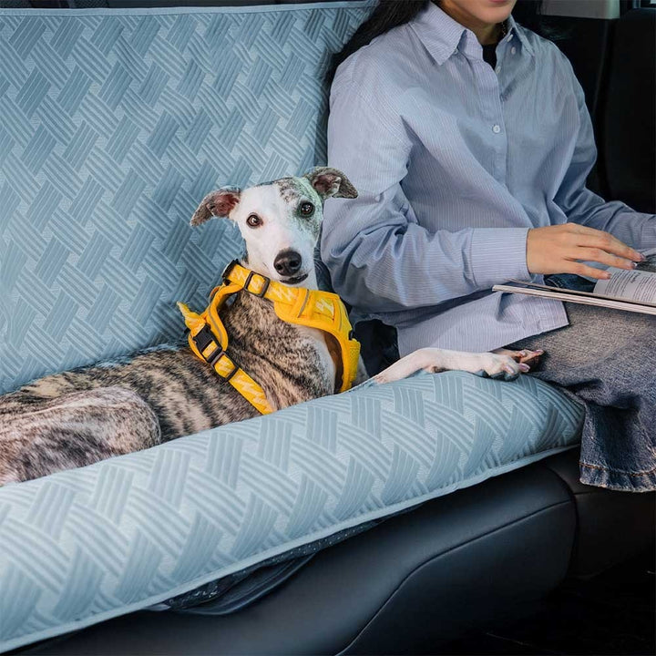 Cooling Travel Bolster Safety Back Seat Large Dog Car Seat Bed