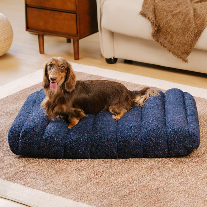 Large Washable Creamy Cosy Flat Dog Beds