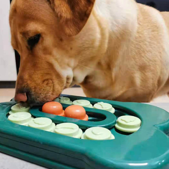 Sliding Foraging Tray Interactive Dog Puzzle Toy