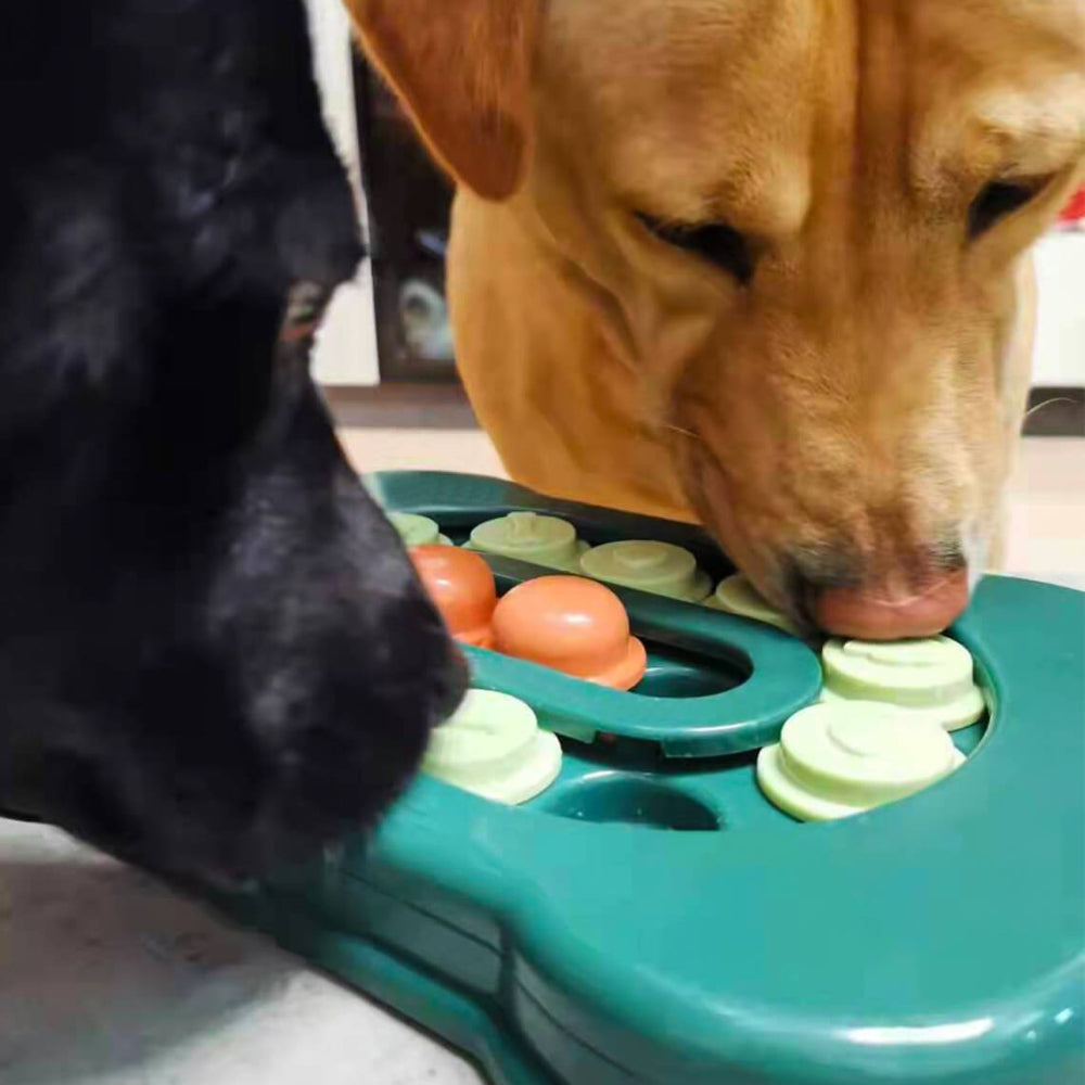 Sliding Foraging Tray Interactive Dog Puzzle Toy