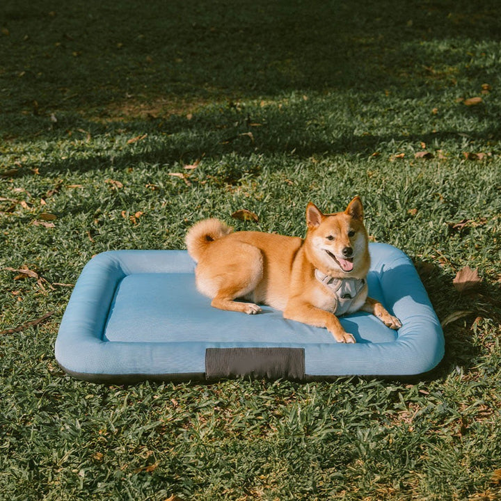 Outdoor Waterproof & Scratch-Resistant Colour-blocked Orthopaedic Dog Mat