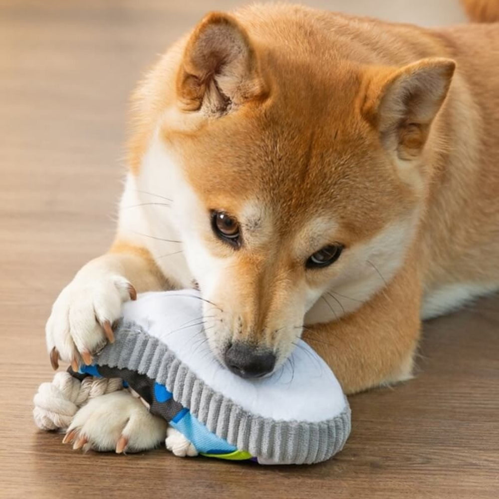Cotton Rope Slipper Toy – Durable Dog Chew & Teething Toy