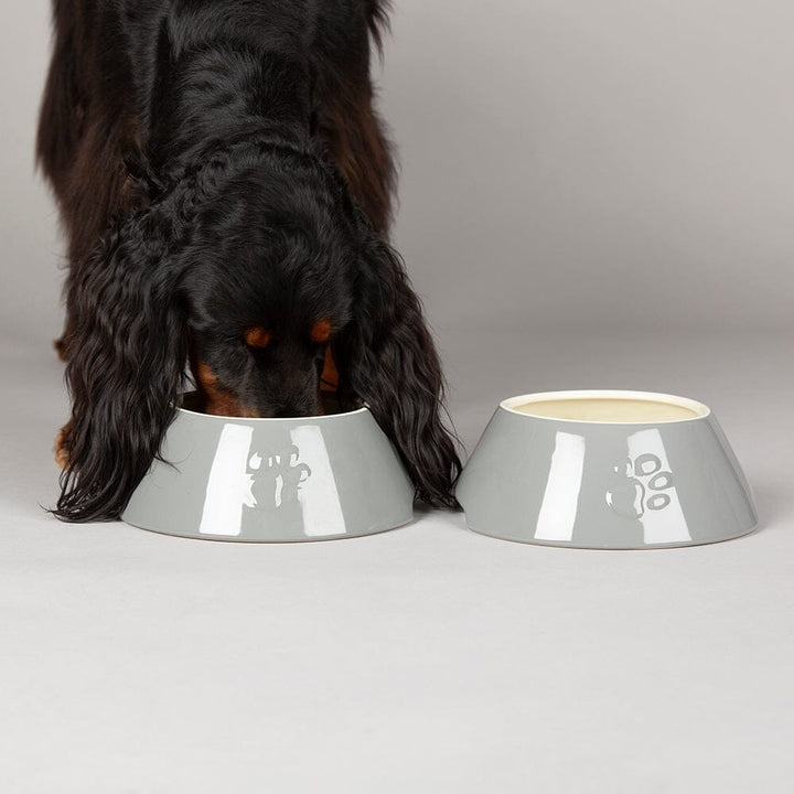 Classic 2-Piece Long Eared Dog Food & Water Bowl