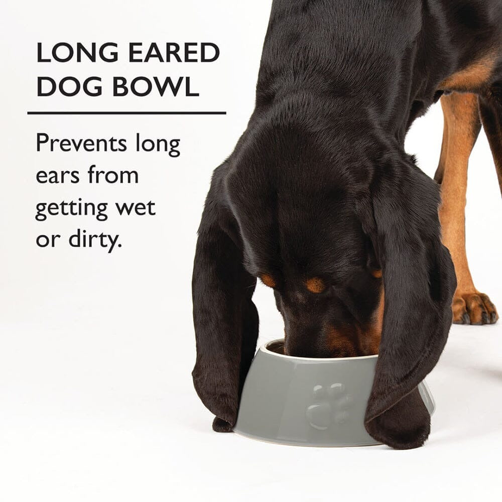 Classic 2-Piece Long Eared Dog Food & Water Bowl