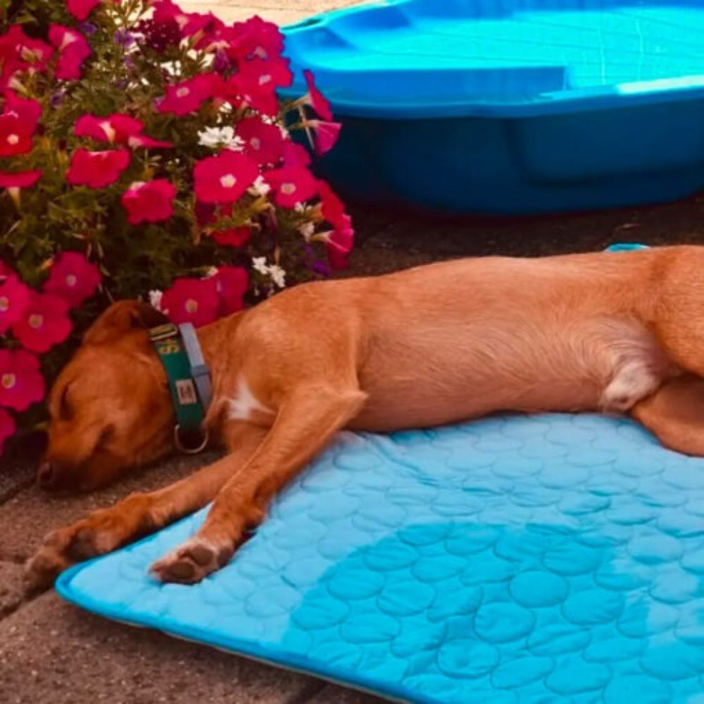 Cooling Dog Mat