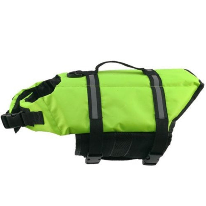 Dog Life Jacket Safety & Comfort for Water Adventures