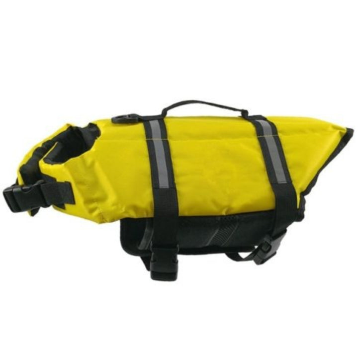 Dog Life Jacket Safety & Comfort for Water Adventures