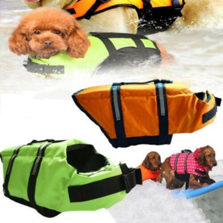 Dog Life Jacket Safety & Comfort for Water Adventures