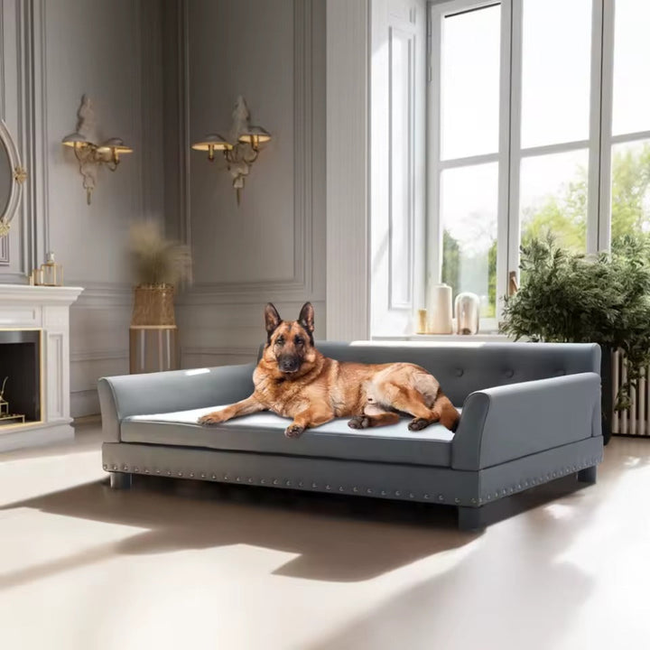 Luxury Leather Elevated Dog Sofa