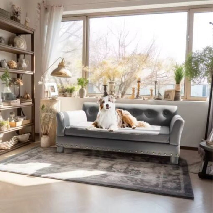Luxury Leather Elevated Dog Sofa