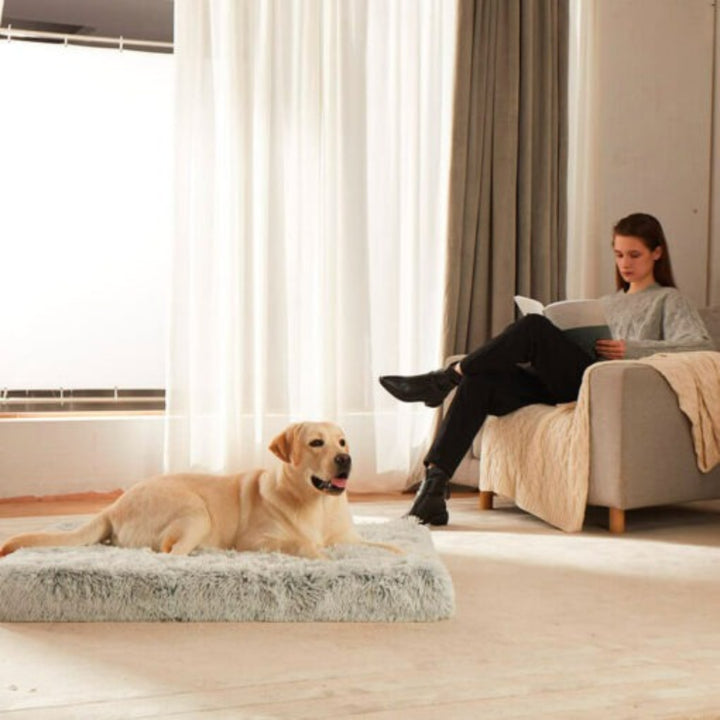 Anti-Anxiety Calming Memory Foam Dog Mattress