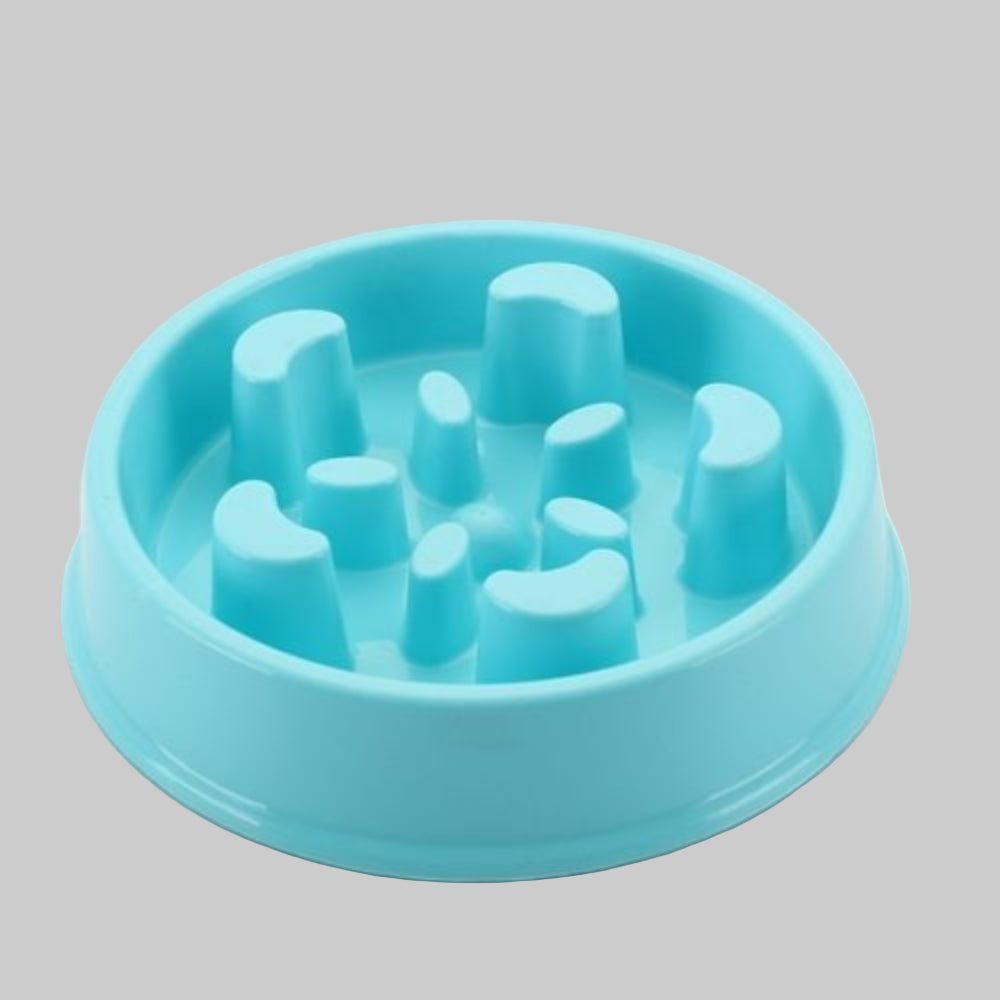 Anti-Choke Dog Feeding Bowl