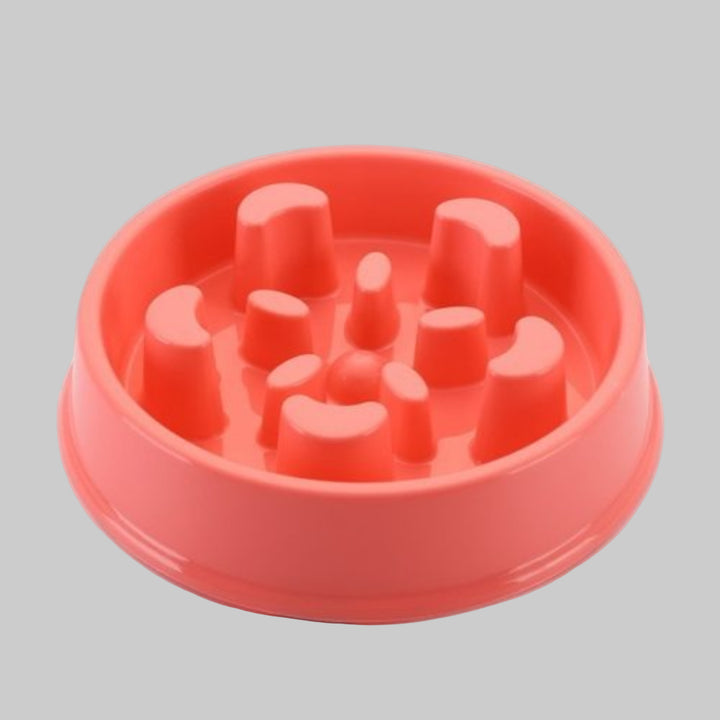 Anti-Choke Dog Feeding Bowl