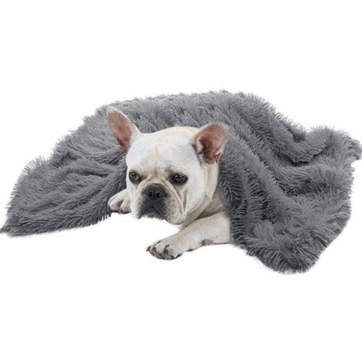 Comfy Dog Blanket