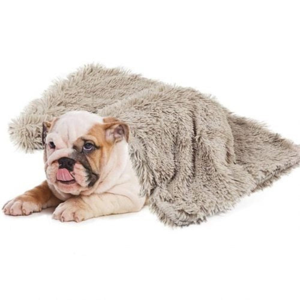 Comfy Dog Blanket