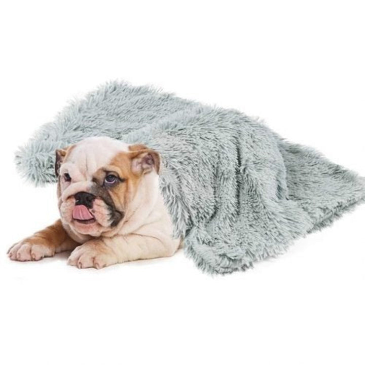 Comfy Dog Blanket