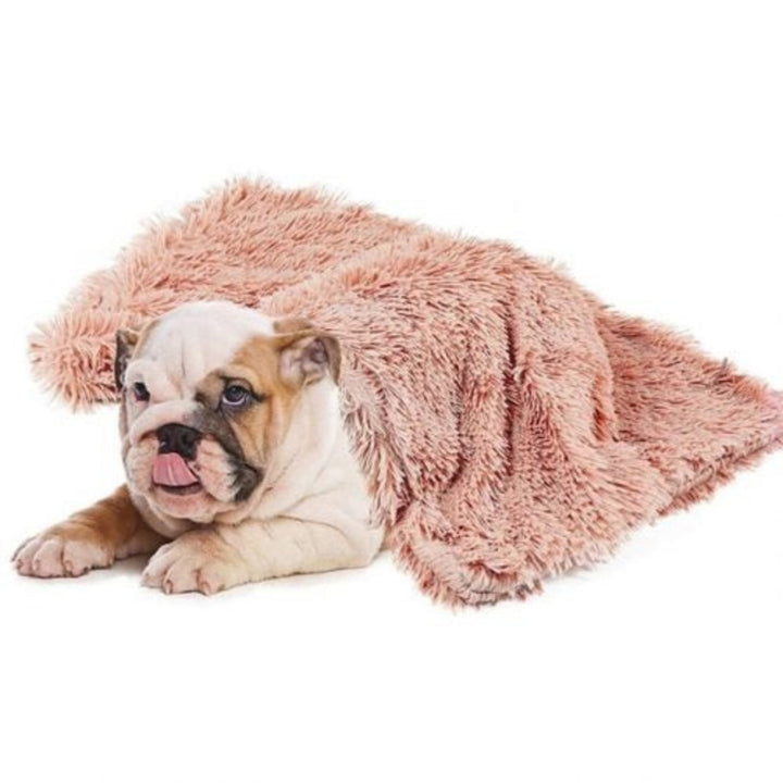 Comfy Dog Blanket