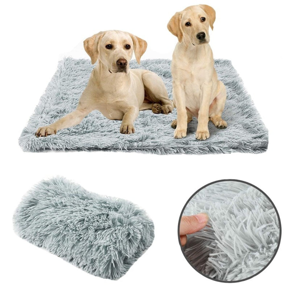 Comfy Dog Blanket