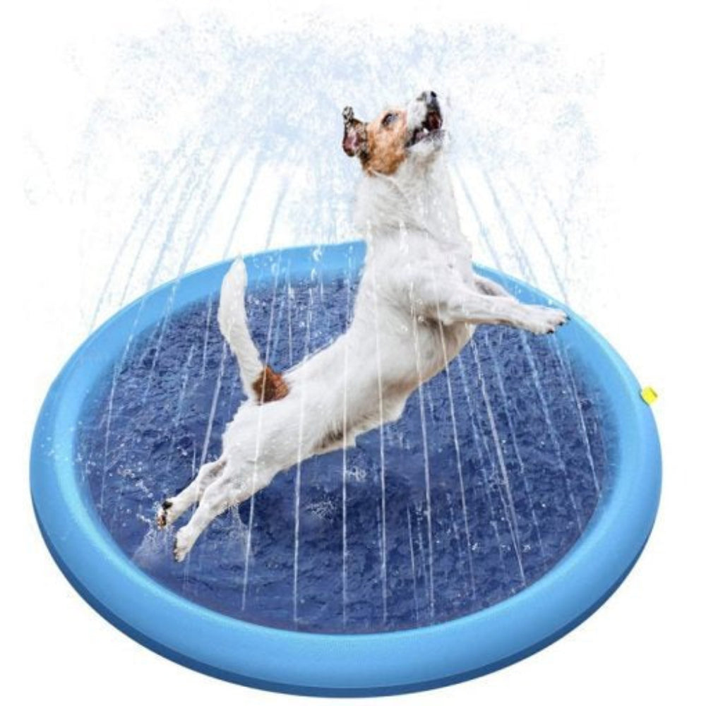 SplashPaws Dog Pool – Fun & Cooling Playtime for Hot Days