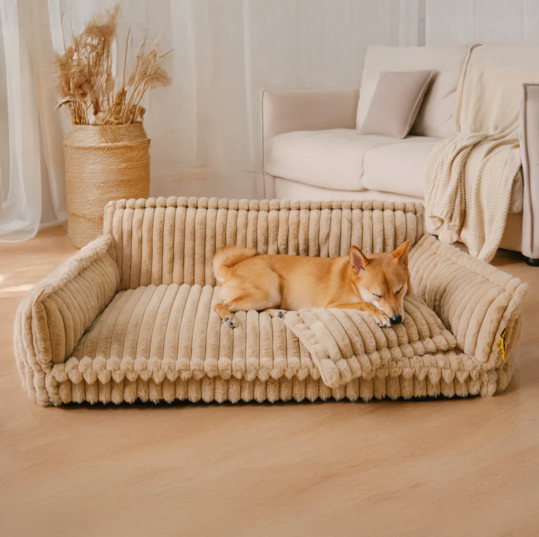 Dog Pillows & Beds