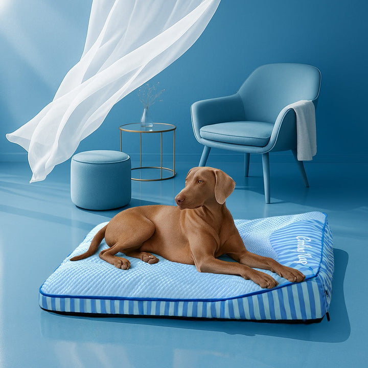 XL Cooling Orthopedic Dog Bed – Washable & Supportive
