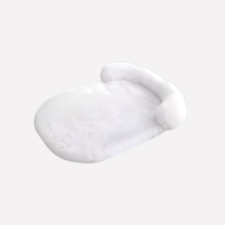 Anti‑Slip Dog Bed