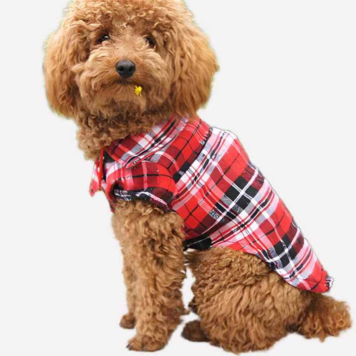 Classic Plaid Dog Shirt