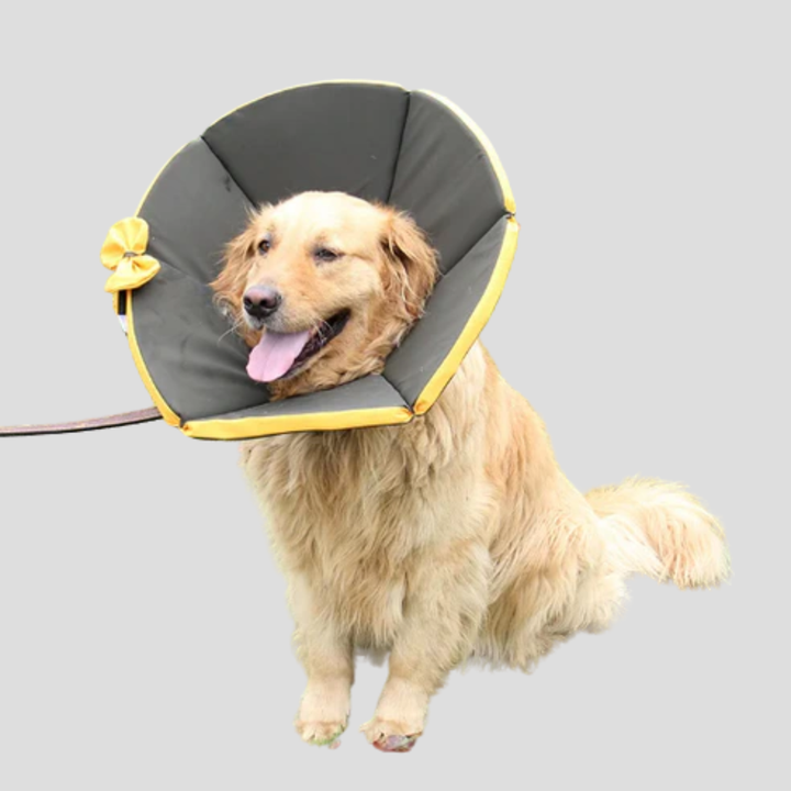 Soft Protective Collar for Dogs