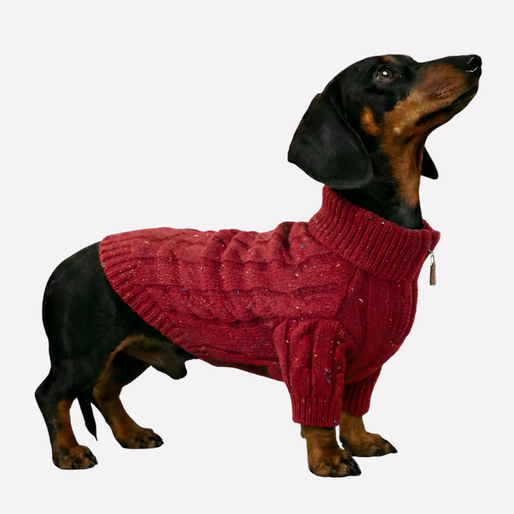 Cable Knit Zipper Collar Dachshund Dog Jumper
