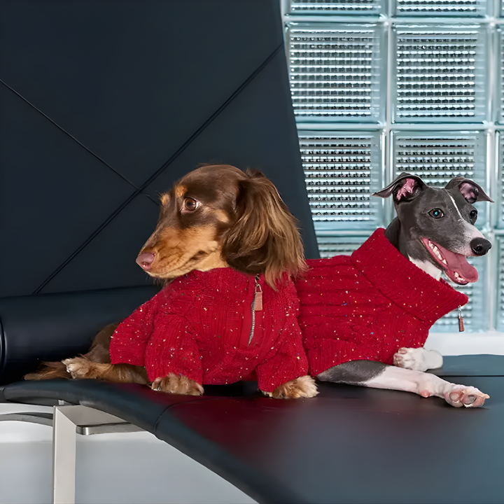 Cable Knit Zipper Collar Dachshund Dog Jumper