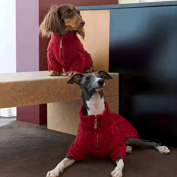 Cable Knit Zipper Collar Dachshund Dog Jumper