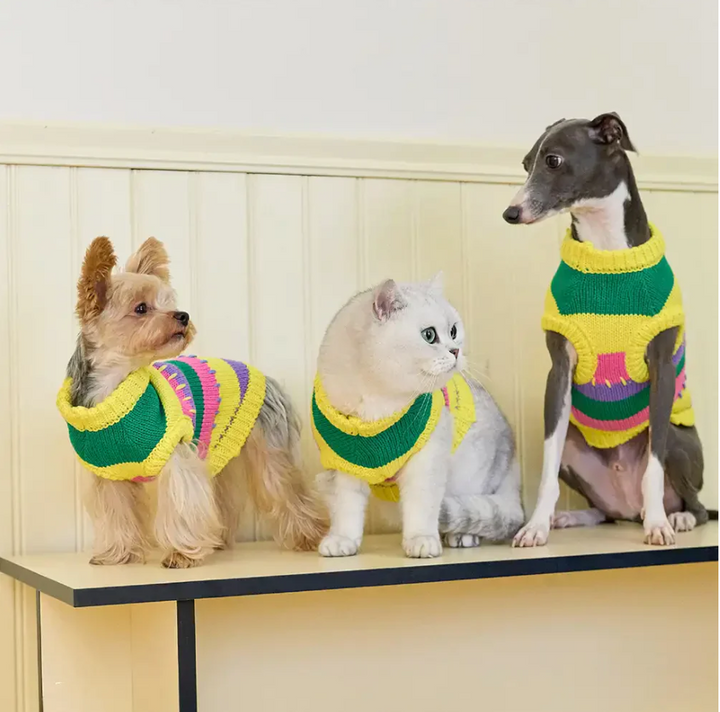 Color-Blocked Striped Sleeveless Dog Jumper