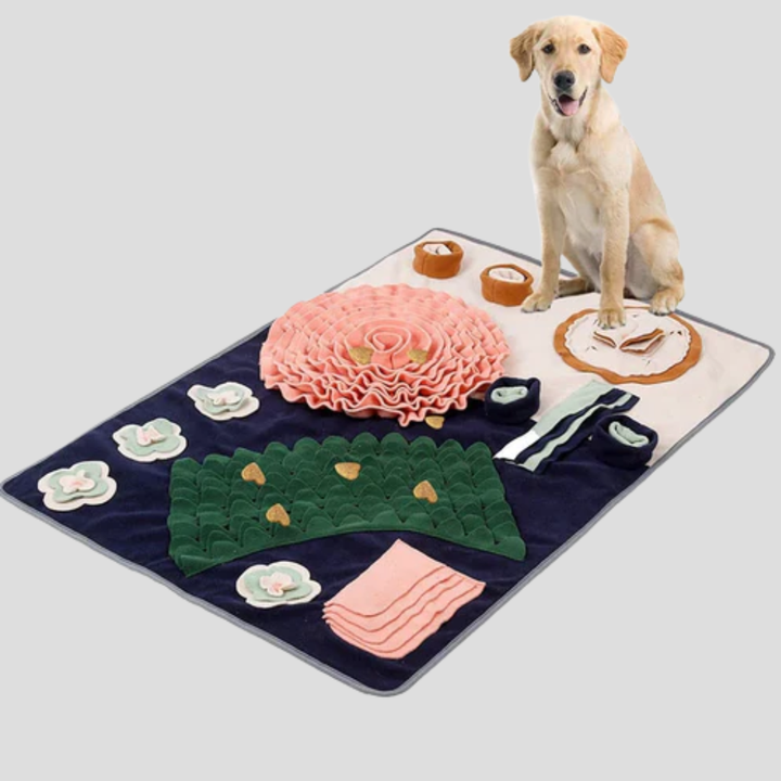 Snuffle Mat Slow Feed for Dogs