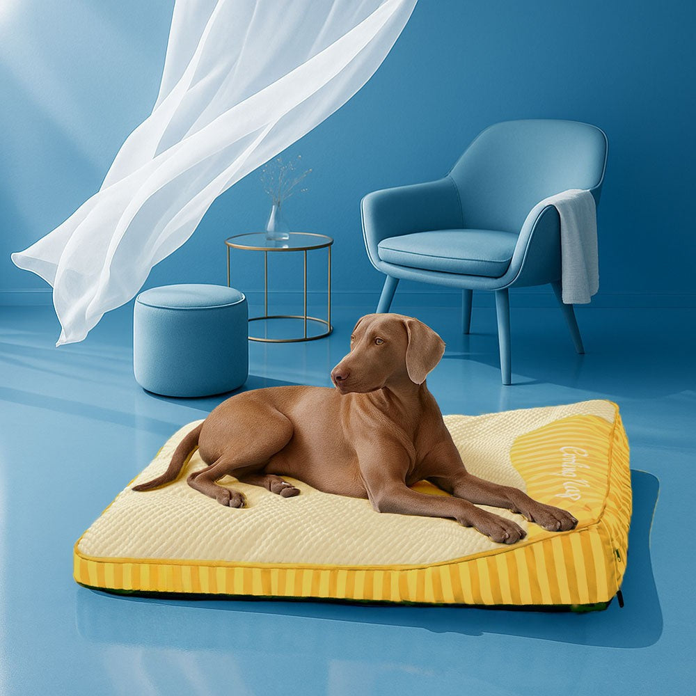 XL Cooling Orthopedic Dog Bed – Washable & Supportive