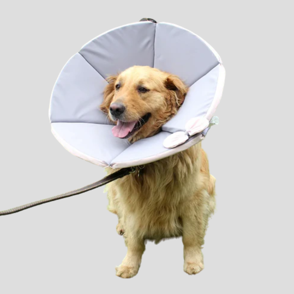 Soft Protective Collar for Dogs