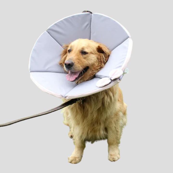 Soft Protective Collar for Dogs