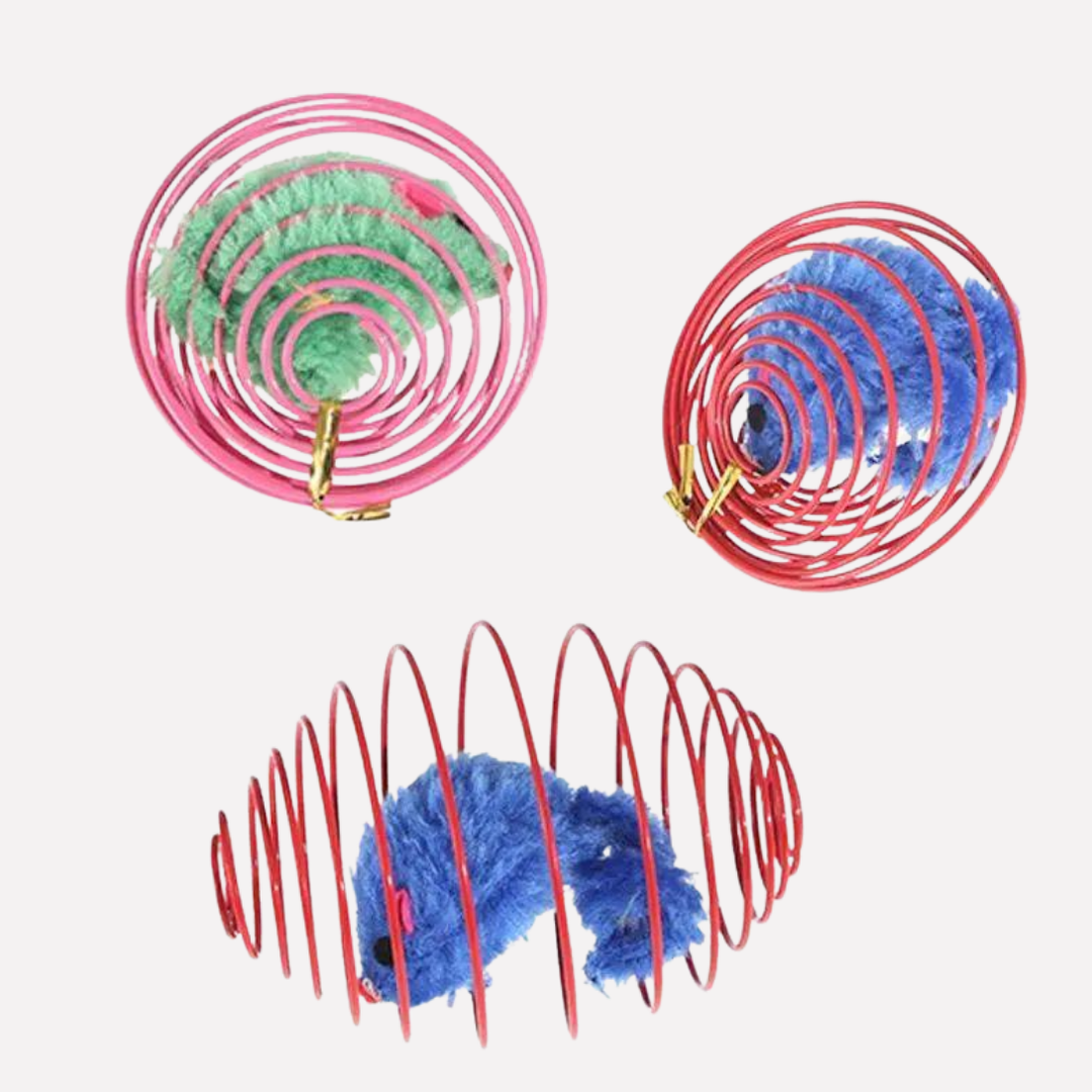 Kitten Spring Toy Balls