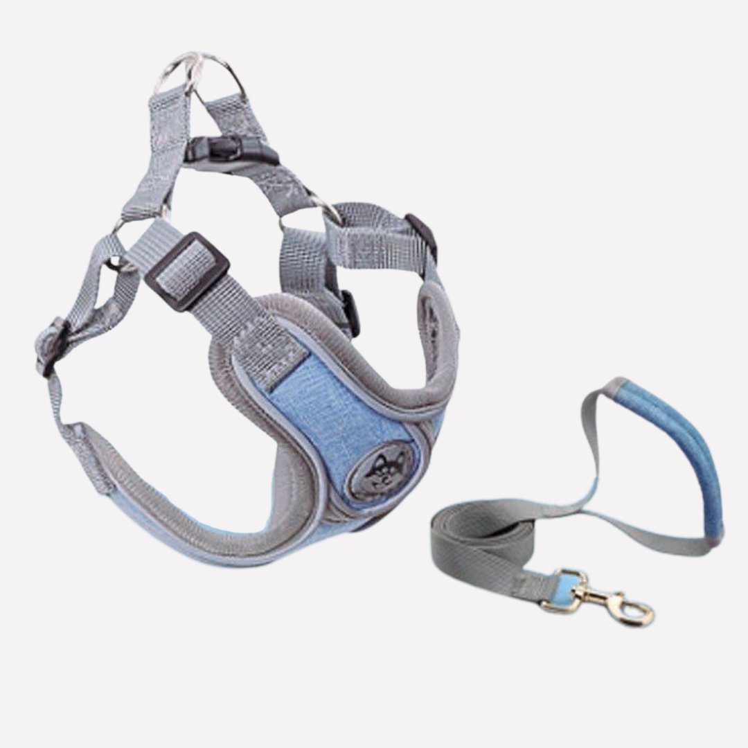 Dog Harness Set Adjustable Vest with Leash