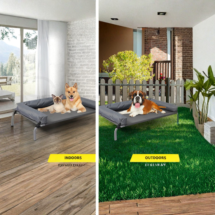 Elevated Pet Trampoline