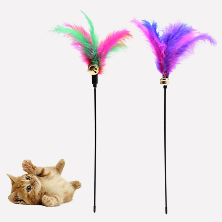 Funny Kitten Teaser Wand