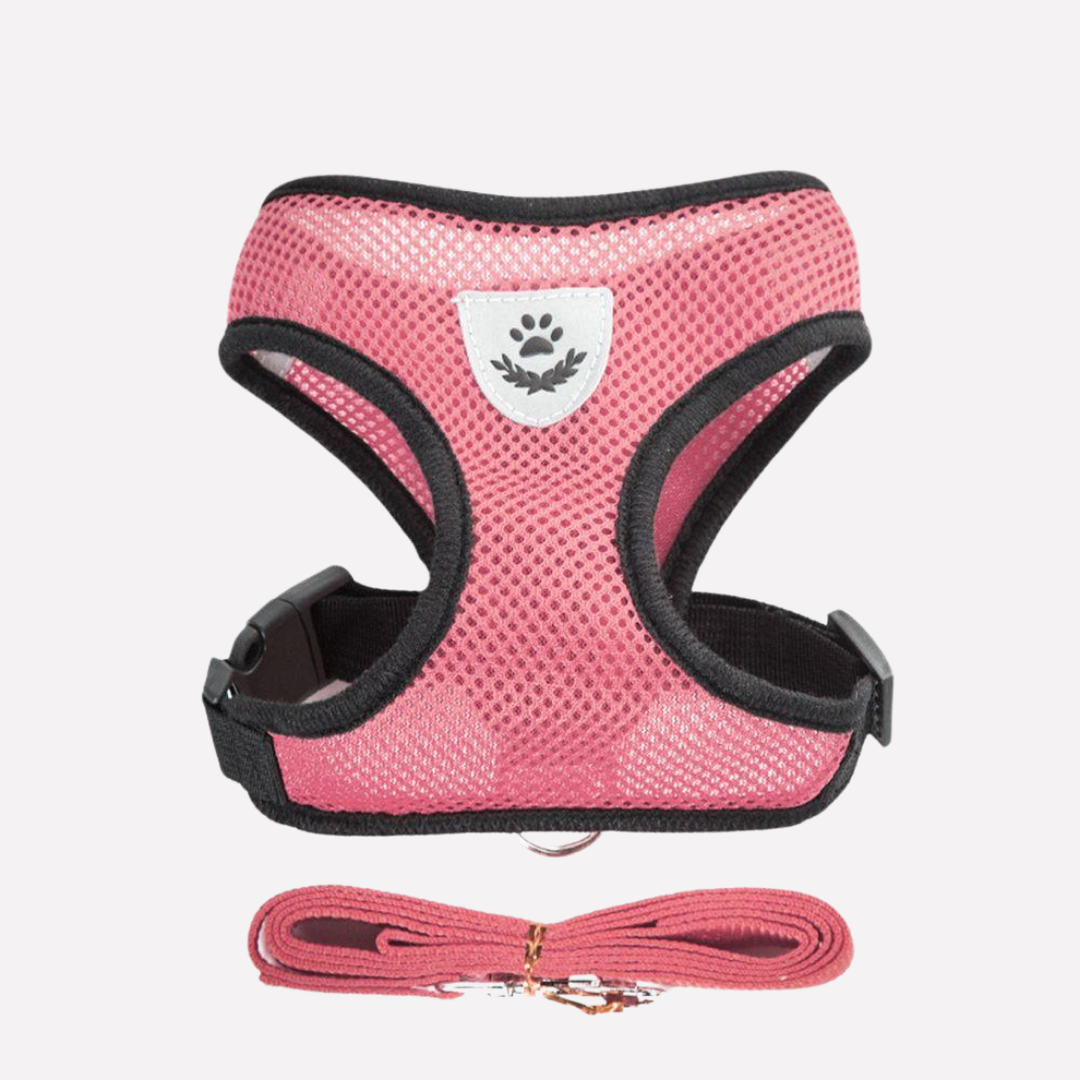 Breathable Mesh Puppy Harness Set