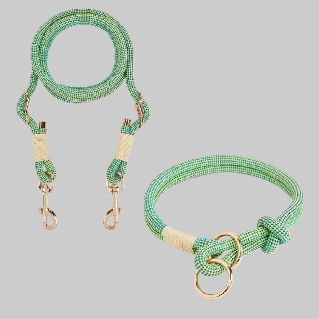 Hands-Free Dog Rope Leash