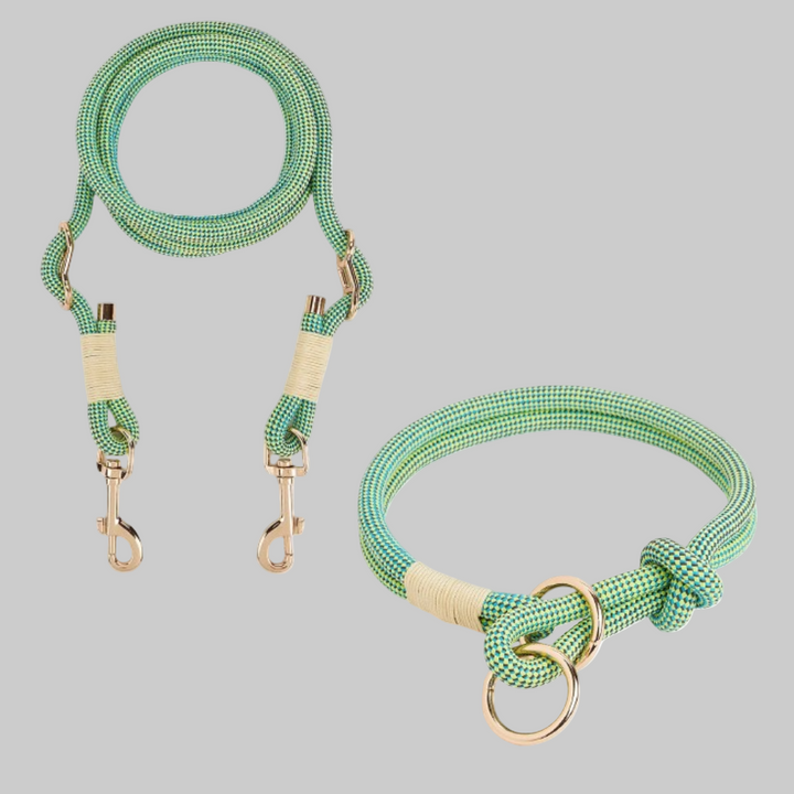 Hands-Free Dog Rope Leash