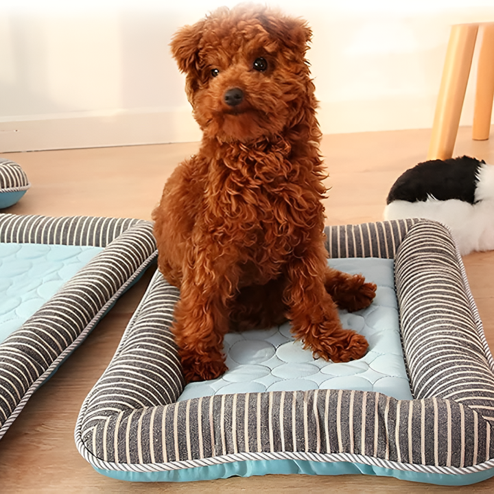 ChillRest Cooling Dog Mat – Comfort & Support for Hot Days