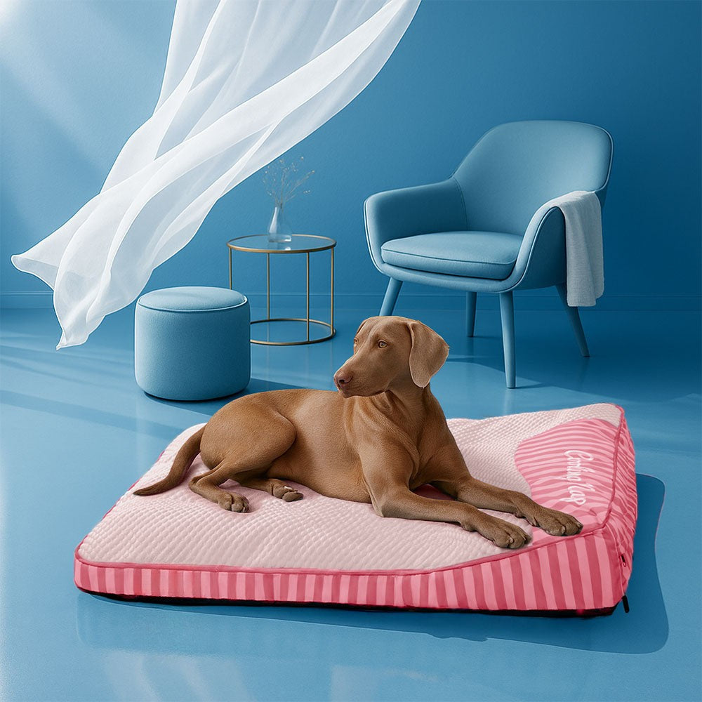 XL Cooling Orthopedic Dog Bed – Washable & Supportive
