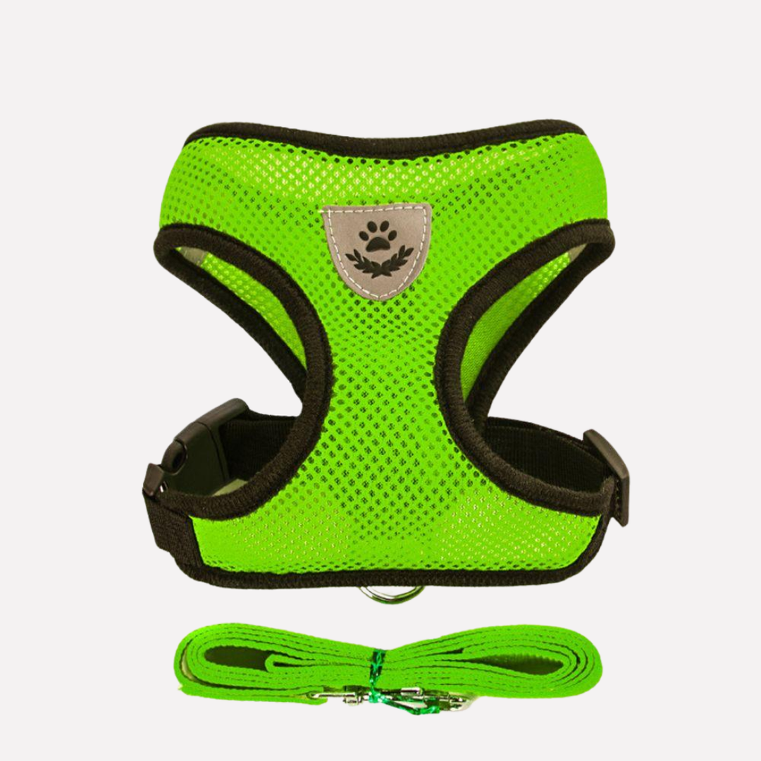 Breathable Mesh Puppy Harness Set