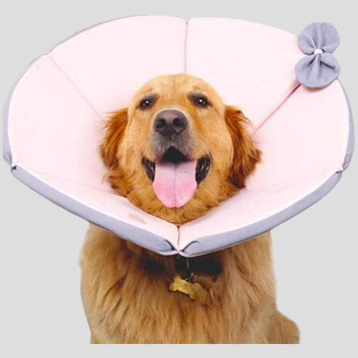 Soft Protective Collar for Dogs